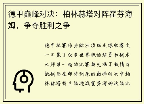德甲巅峰对决：柏林赫塔对阵霍芬海姆，争夺胜利之争